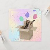 Verrassende Birthday Party-kat in doos Kaart (Voorkant / Achterkant in situ)