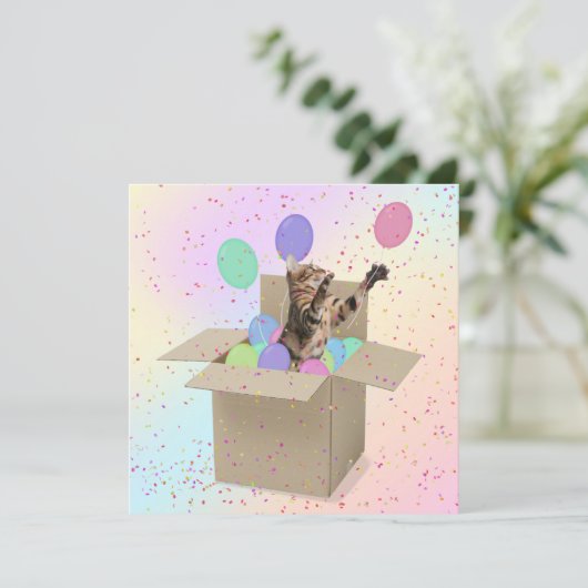 Verrassende Birthday Party-kat in doos Kaart (Staand voorkant)