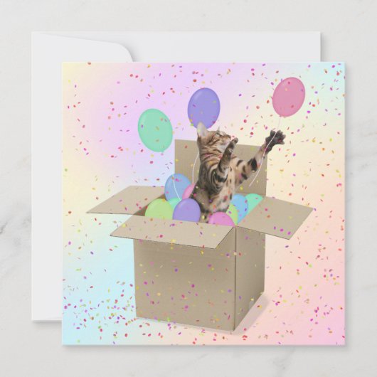 Verrassende Birthday Party-kat in doos Kaart (Voorkant)