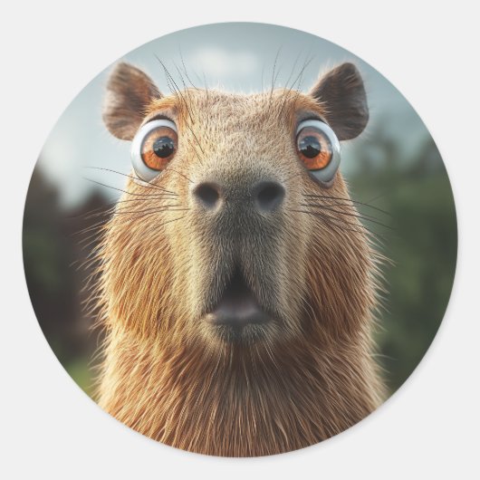 Verrassende Capybara close-up Ronde Sticker (Voorkant)
