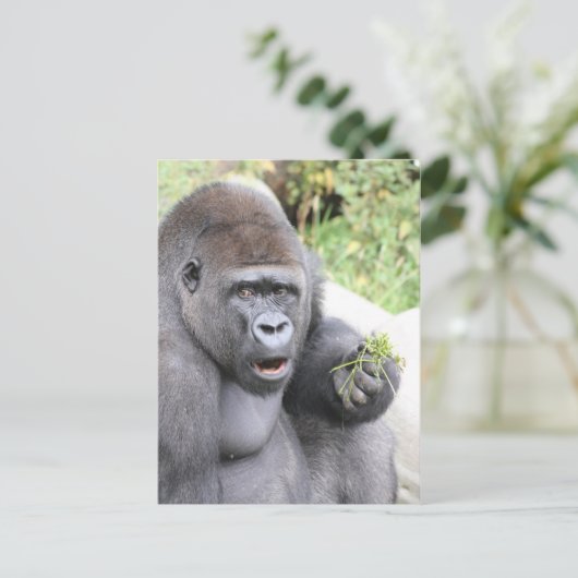 Verrassende gorilla briefkaart (Staand voorkant)