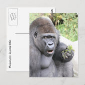 Verrassende gorilla briefkaart (Voorkant / Achterkant)