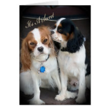 Verrassende partij "Het is een geheim" kaarten