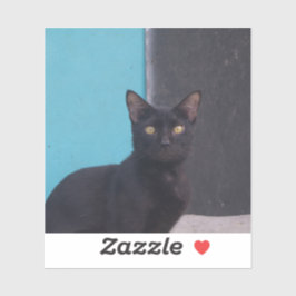 Verrassende zwarte kat sticker