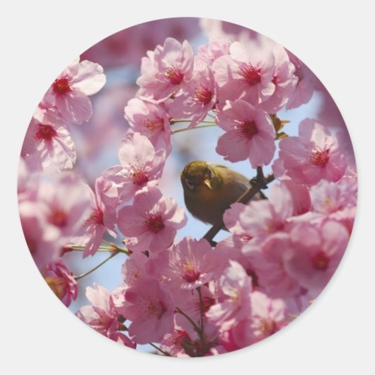 Verrassing! Ronde Sticker (Voorkant)