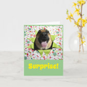 Verrassing! Verjaardag van de Duitse herder Wenska Kaart (Gele Bloem)