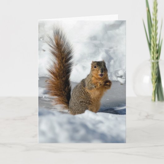 verrassingseekhoorn kaart (Voorkant)