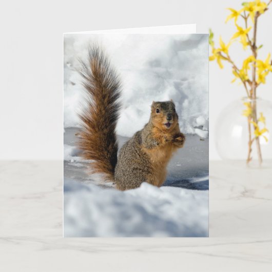 verrassingseekhoorn kaart (Gele Bloem)