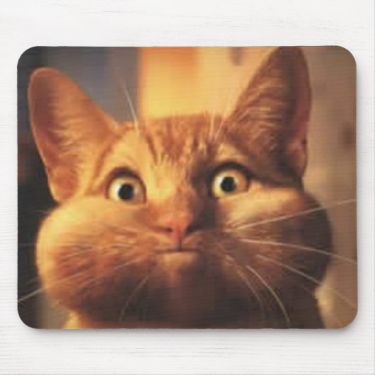 Verrast Cat Mousepad Muismat (Voorkant)