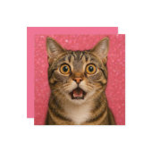 Verraste kat wenskaart. kaart (Voorkant / Achterkant in situ)