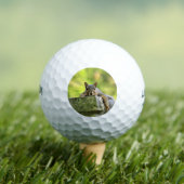 Verre eekhoorn golfballen (Insitu Shirt)