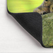 Verre eekhoorn muismat (Hoek)