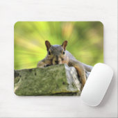 Verre eekhoorn muismat (Met muis)