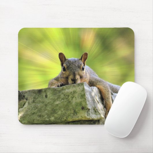 Verre eekhoorn muismat (Met muis)