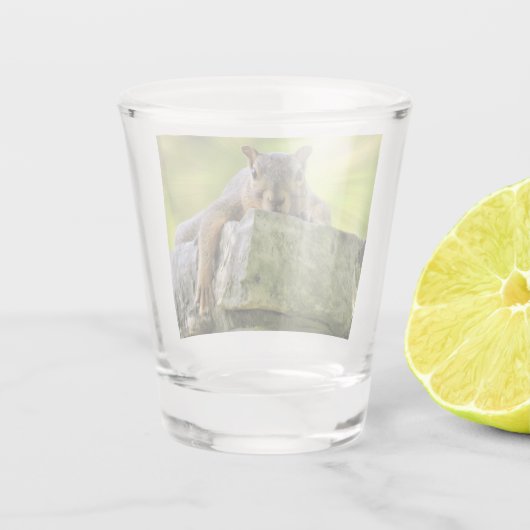 Verre eekhoorn shot glas (Achterkant)