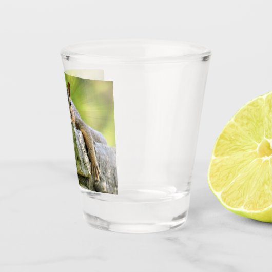 Verre eekhoorn shot glas (Rechts)