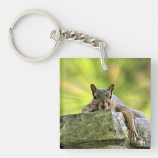 Verre eekhoorn sleutelhanger (Voorkant)