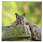 Verre eekhoorn tegeltje (Voorkant)