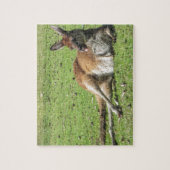 Verre Kangaroo Puzzle Legpuzzel (Verticaal)