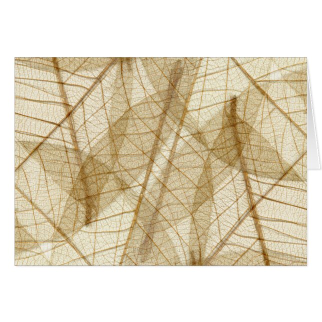 Verre leges van Cream Beige Lace (Voorkant Horizontaal)