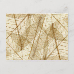 Verre leges van Cream Beige Lace Briefkaart