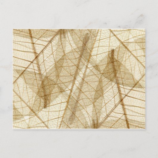 Verre leges van Cream Beige Lace Briefkaart (Voorkant)