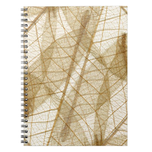 Verre leges van Cream Beige Lace Notitieboek (Voorkant)