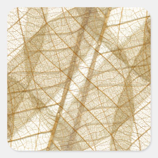 Verre leges van Cream Beige Lace Vierkante Sticker (Voorkant)