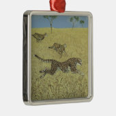 Verre snelheid metalen ornament (Rechts)