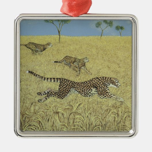 Verre snelheid metalen ornament (Voorkant)