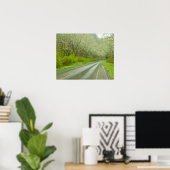 Verre weg door bos poster (Thuiskantoor)