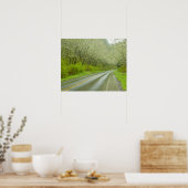 Verre weg door bos poster (Keuken)