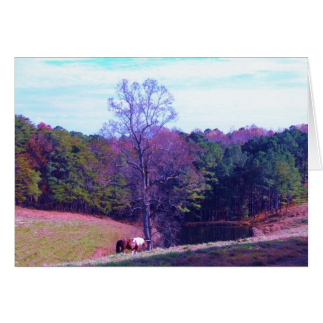 Verre weg Horse in een Paars veld (Voorkant Horizontaal)