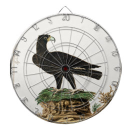 Verreaux Black Eagle | Wild Bird Illustration Kind Dartbord