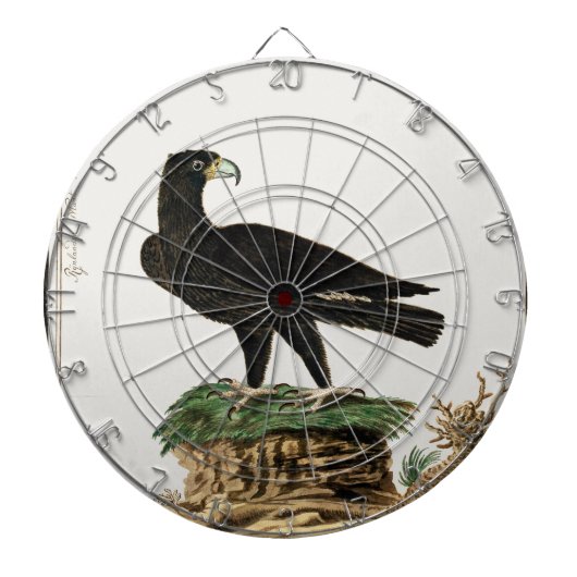 Verreaux Black Eagle | Wild Bird Illustration Kind Dartbord (Voorkant)