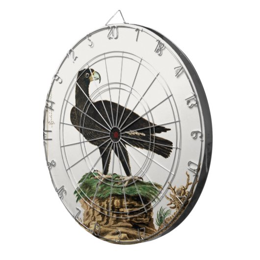 Verreaux Black Eagle | Wild Bird Illustration Kind Dartbord (Voorkant Rechts)