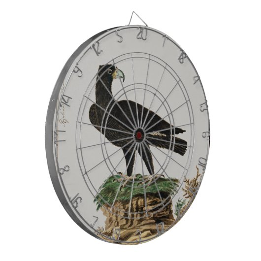 Verreaux Black Eagle | Wild Bird Illustration Kind Dartbord (Voorkant Links)