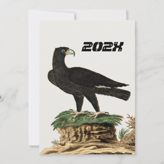 Verreaux Black Eagle | Wild Bird Illustration Kind Kaart (Voorkant)