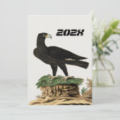 Verreaux Black Eagle | Wild Bird Illustration Kind Kaart (Staand voorkant)