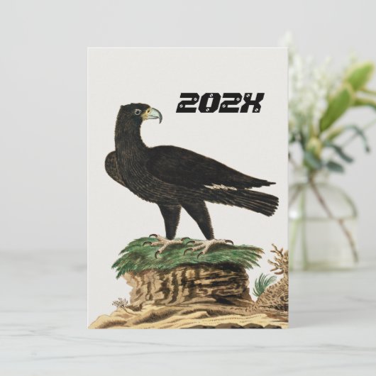 Verreaux Black Eagle | Wild Bird Illustration Kind Kaart (Staand voorkant)