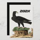 Verreaux Black Eagle | Wild Bird Illustration Kind Kaart (Voorkant / Achterkant)