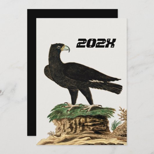 Verreaux Black Eagle | Wild Bird Illustration Kind Kaart (Voorkant / Achterkant)