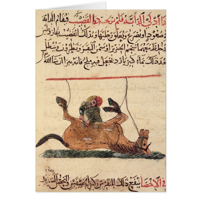 Verrichting op een paard, illustratie (Voorkant)