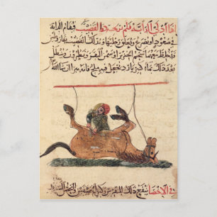 Verrichting op een paard, illustratie briefkaart
