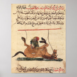 Verrichting op een paard, illustratie poster