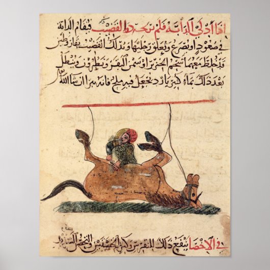 Verrichting op een paard, illustratie poster (Voorkant)