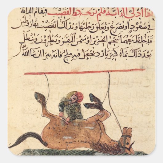 Verrichting op een paard, illustratie vierkante sticker (Voorkant)