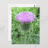 Verrijkte Paarse ventilator Briefkaart (Voorkant / Achterkant)