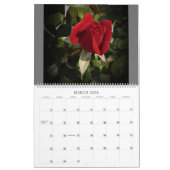 Verrukkingen in Natuur GR - Grote muurkalender 202 Kalender (Mar 2026)