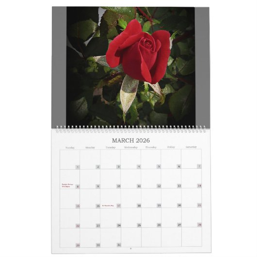 Verrukkingen in Natuur GR - Grote muurkalender 202 Kalender (Mar 2026)